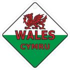 Wales Diamond Shaped Window Hanger