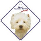 West Highland Terrier